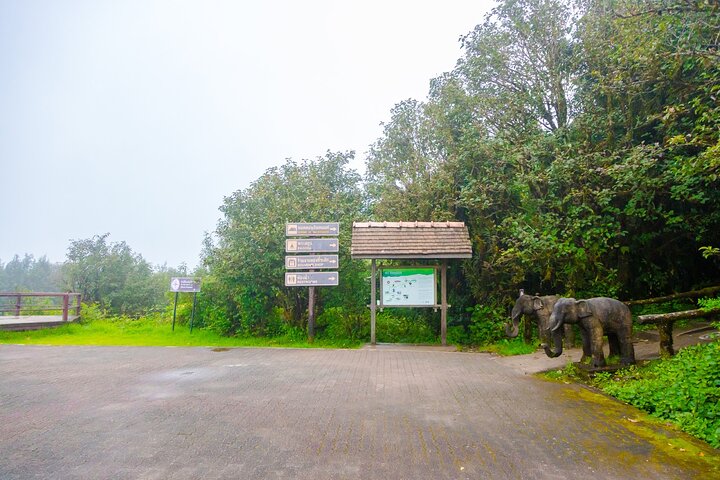 Doi Inthanon National Park, Waterfall & Royal Project Day Tour From Chiang Mai