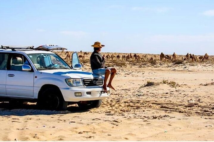Desert Experience-FullTour-Excursion- White Dune/Puerto Rico/Imlili