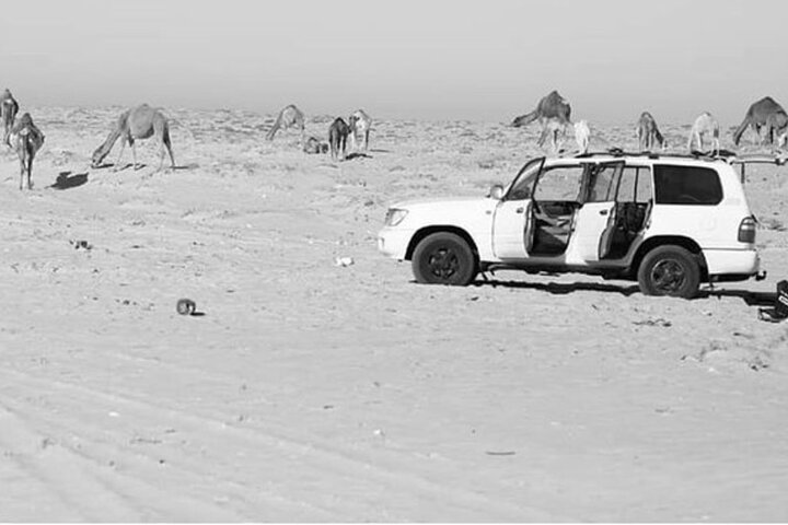 Desert Experience-FullTour-Excursion- White Dune/Puerto Rico/Imlili