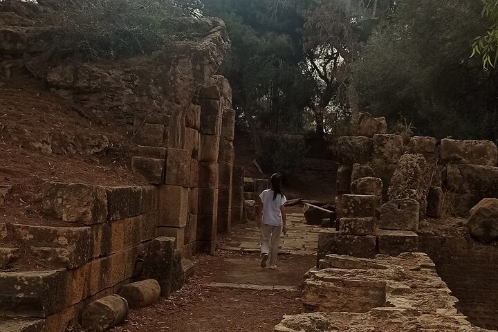 Explore the Ruins of Tipaza and Cherchell