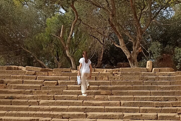 Explore the Ruins of Tipaza and Cherchell