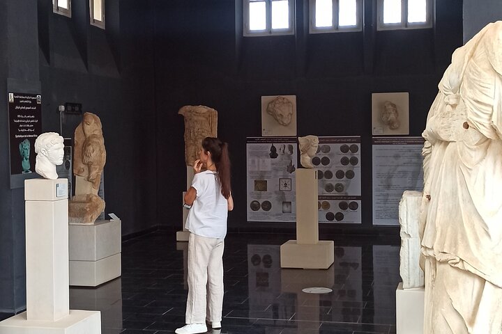 Explore the Ruins of Tipaza and Cherchell