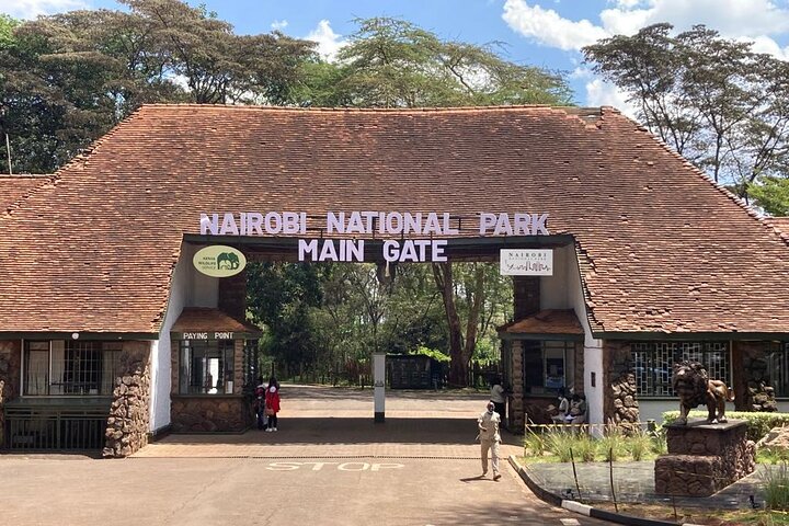 Half Day Guided Tour in Nairobi National Park With 4*4 Vehicle
