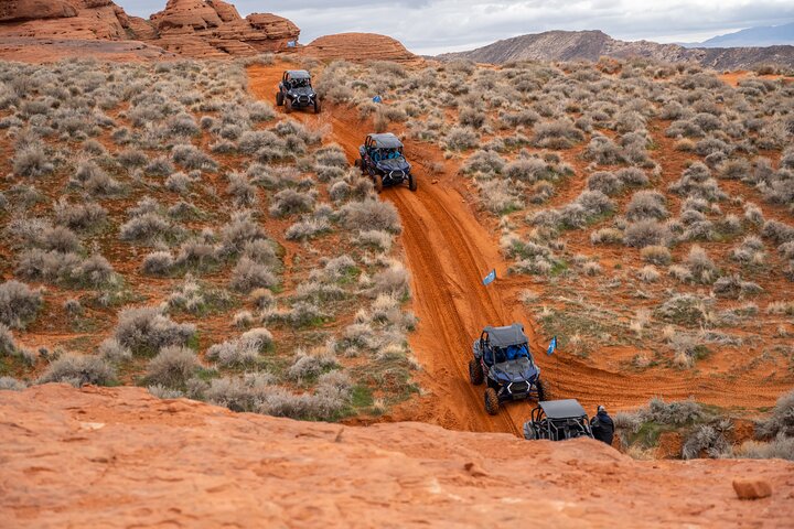 Greater Zion: Family Friendly UTV Tour near Zion