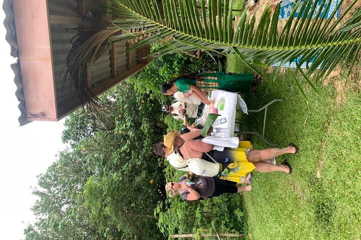 Half-Day Anahulu Cave and Cultural Tour
