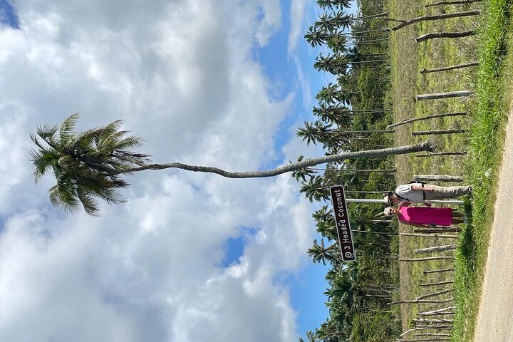 Tongatapu West Coast N East Coast Island Tour