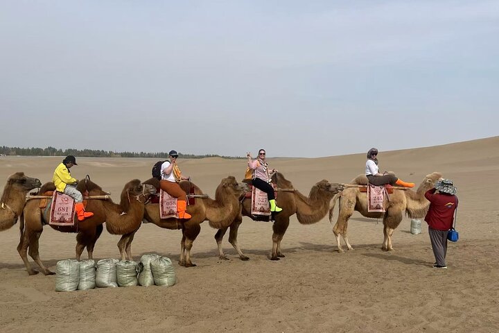 Dunhuang Private Silk Road Day Tour: Mogao Caves, Crescent Spring