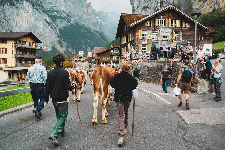 Zurich SkyGlass Bus Tour to Interlaken,Grindelwald &Lauterbrunnen