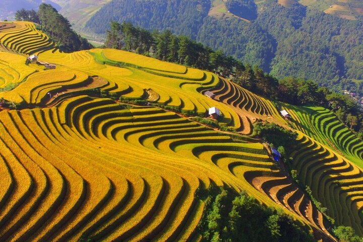 Dien Bien Phu Battlefield Discovery