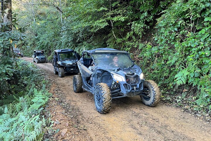 Batumi: Mtirala ATV Buggy CanAm Maverick & Horse Riding Adventure