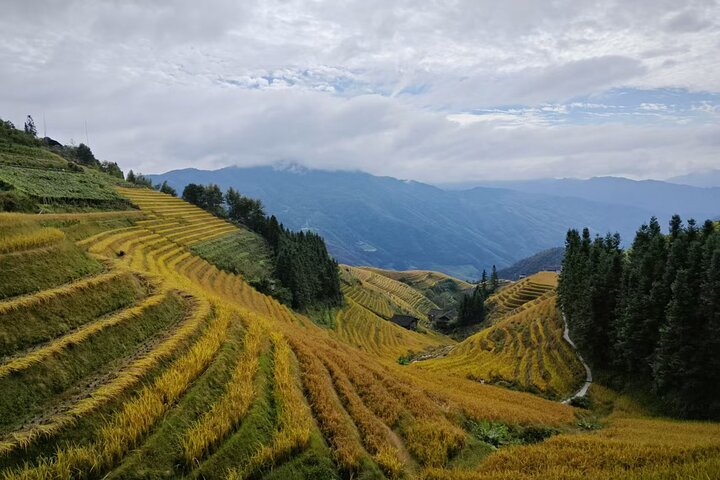 Longji Rice Terraces with Minority Village Private Day Tour