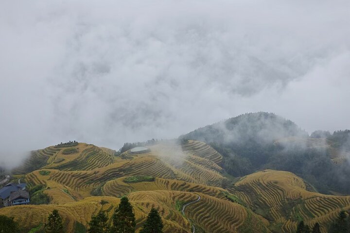Longji Rice Terraces with Minority Village Private Day Tour
