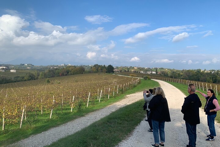 All inclusive Private Prosecco Hills Tour - 2 Wineries and Lunch.
