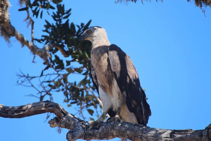 Yala National Park Special Leopard Safari Tours By Dinuka Safari