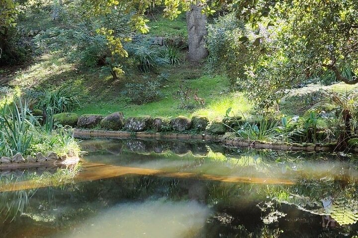Sintra Private Trip from Lisbon Customizable Dreamlike Experience