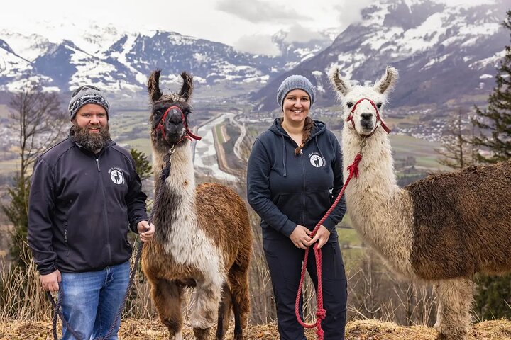 Llama hike through the wonderful Liechtenstein mountains