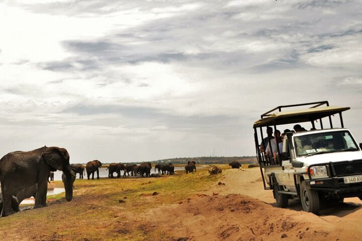 Chobe Day Trip Safari from Livingstone