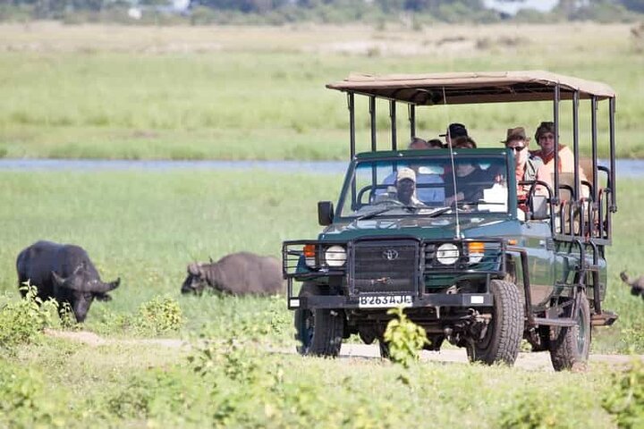 Chobe Day Trip Safari from Livingstone