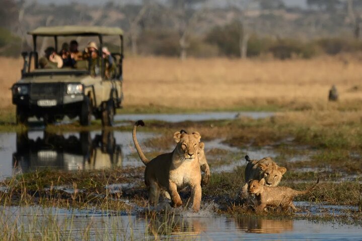 Chobe Day Trip Safari from Livingstone