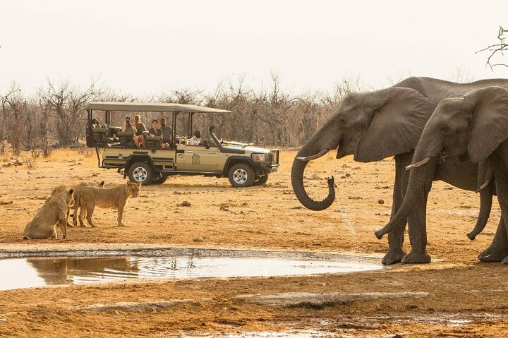 Chobe Day Trip Safari from Livingstone