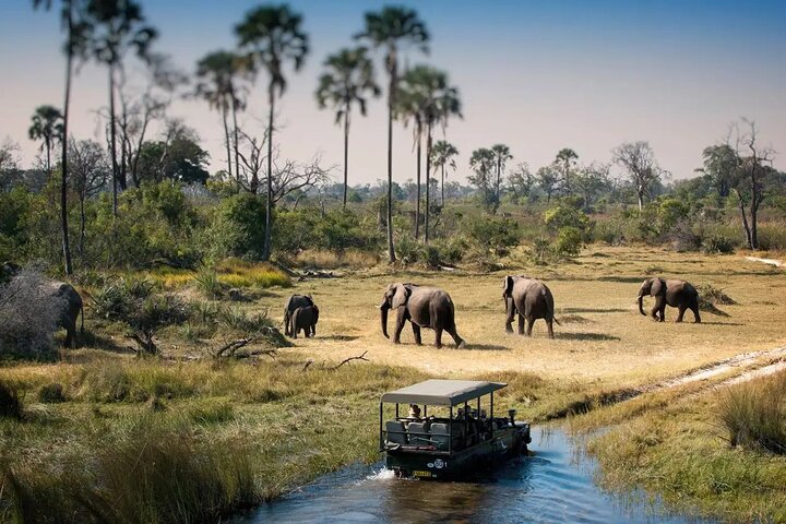 Chobe Day Trip Safari from Livingstone