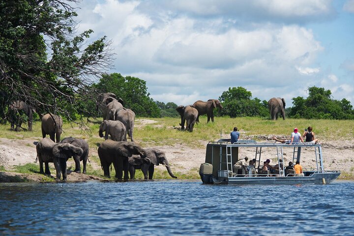 Chobe Day Trip Safari from Livingstone