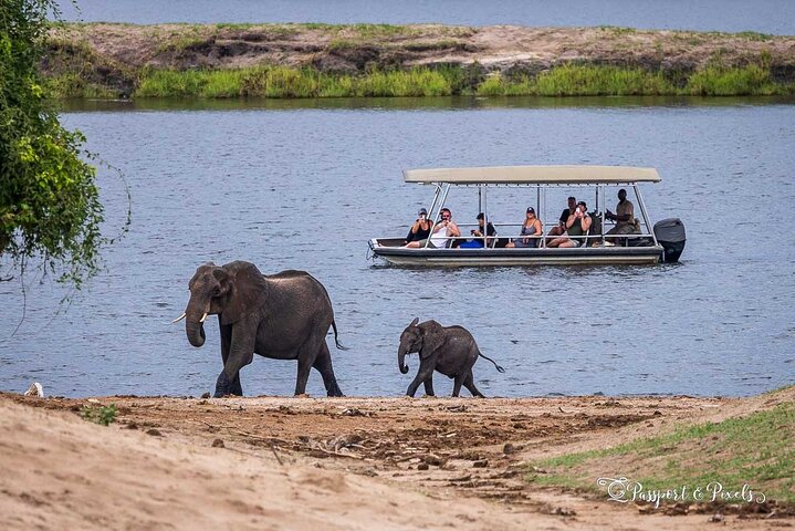 Chobe Day Trip Safari from Livingstone