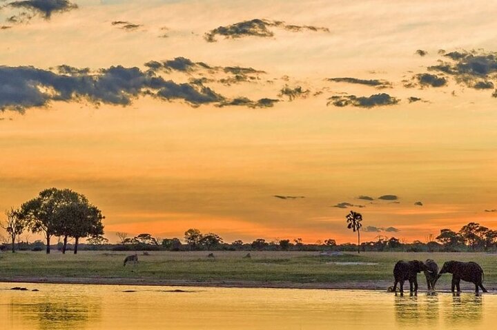 Chobe Day Trip Safari from Livingstone