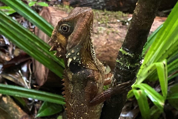 Mossman Gorge Daintree Experience Small Groups