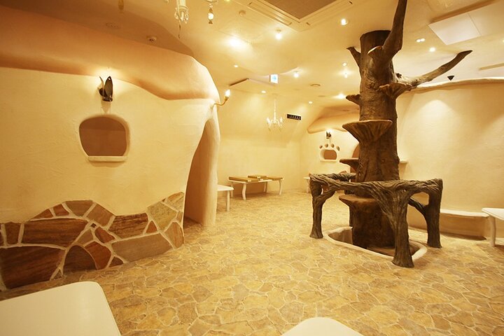 Tokyo Cat Cafe in Kichijoji - Castle Themed