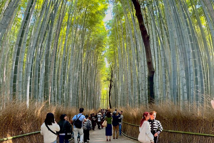 Private Kyoto Customizable Day Tour with English Speaking Driver
