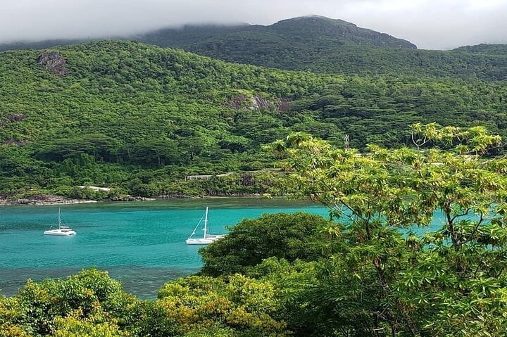 Mahe Island: Zip Lining and Marine Park Snorkeling Excursion