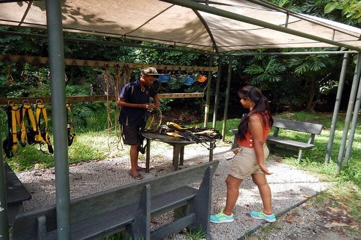 Mahe Island: Zip Lining and Marine Park Snorkeling Excursion