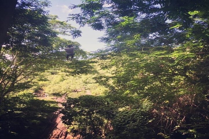 Mahe Island: Zip Lining and Marine Park Snorkeling Excursion