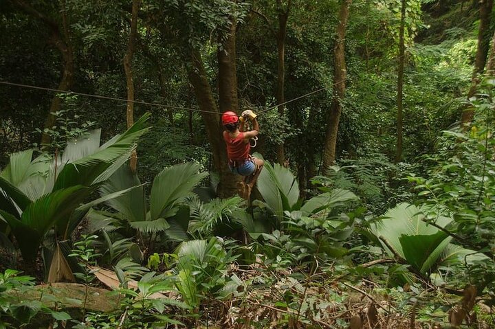 Mahe Island: Zip Lining and Marine Park Snorkeling Excursion