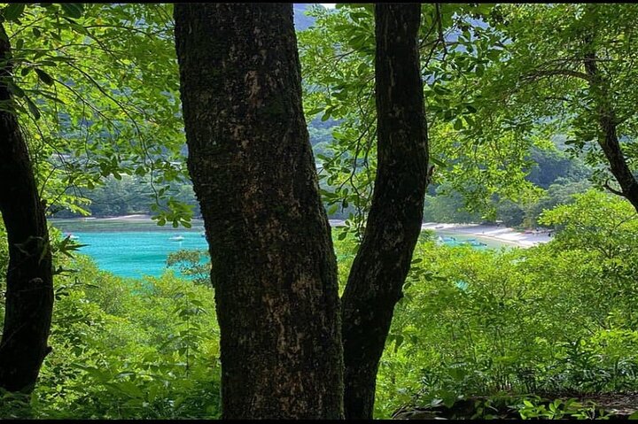 Mahe Island: Zip Lining and Marine Park Snorkeling Excursion