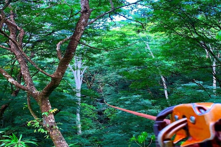 Mahe Island: Zip Lining and Marine Park Snorkeling Excursion