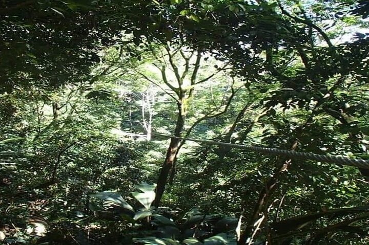 Mahe Island: Zip Lining and Marine Park Snorkeling Excursion