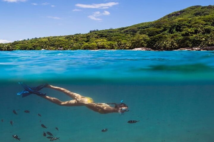 Mahe Island: Zip Lining and Marine Park Snorkeling Excursion