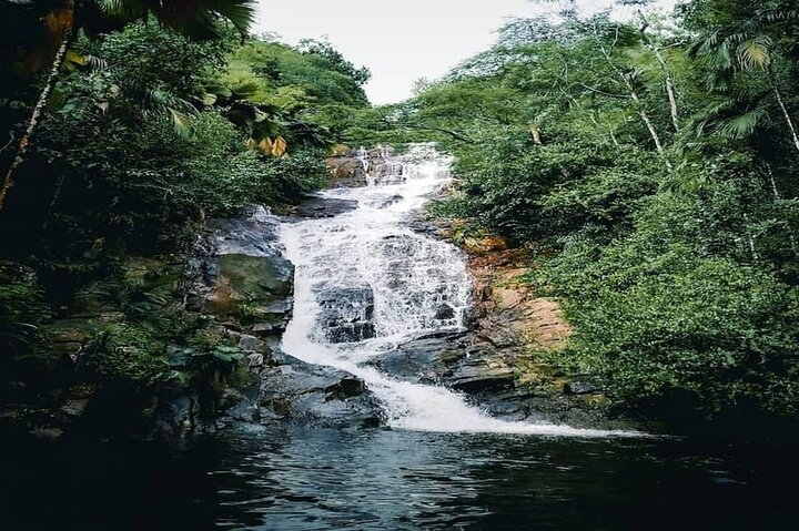 Mahe Island: Zip Lining and Marine Park Snorkeling Excursion