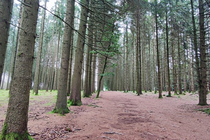 The Battle of the Bulge Experience - A day tour from Brussels