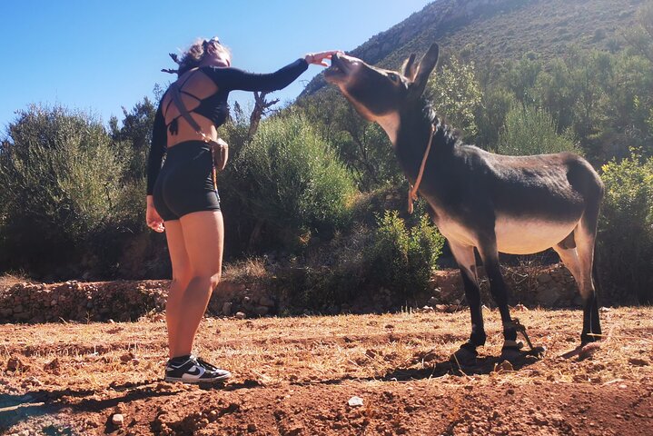 Hiking Beyond Paradise Valley