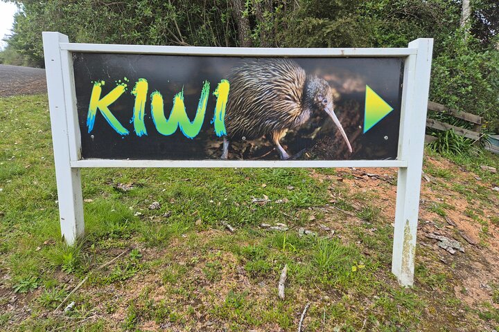Caves to Kiwis E-Bike Rental