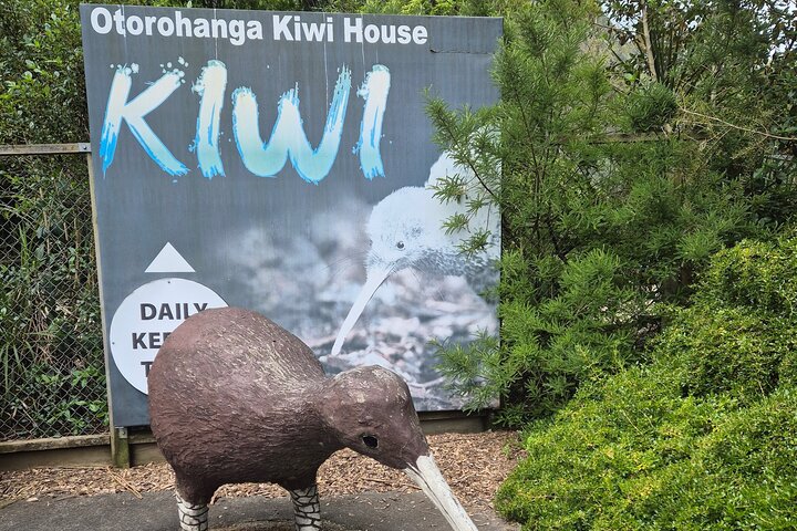 Caves to Kiwis E-Bike Rental