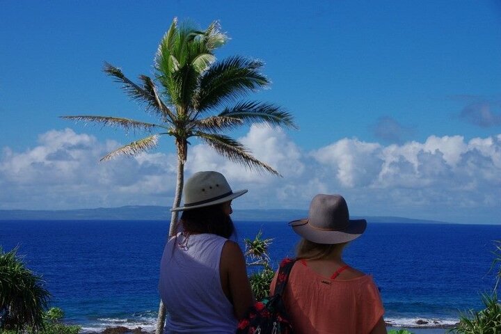 Tongatapu West Coast N East Coast Island Tour