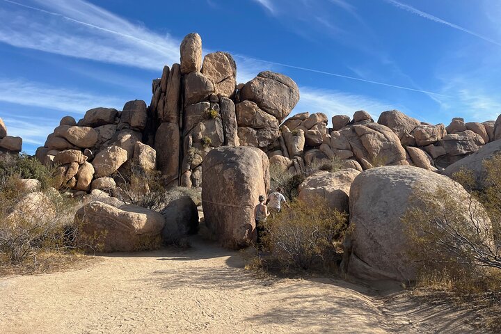 Joshua Tree National Park Sightseeing Adventure Tour