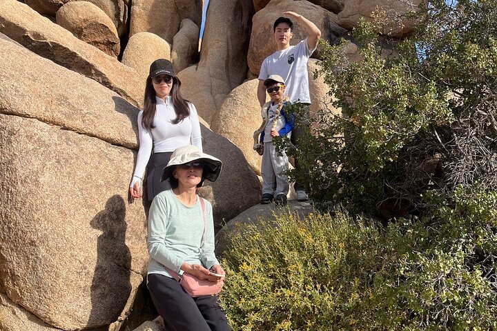 Private Sightseeing Adventure Tour of Joshua Tree National Park