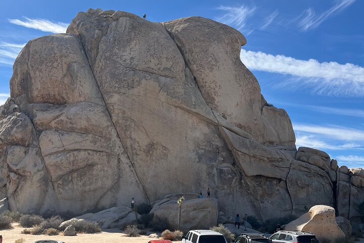 Private Sightseeing Adventure Tour of Joshua Tree National Park