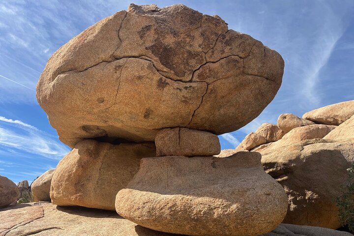 Private Sightseeing Adventure Tour of Joshua Tree National Park
