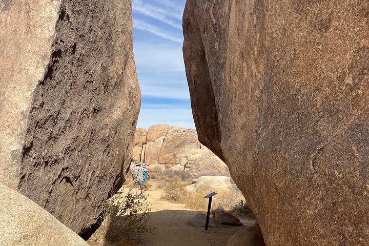 Private Sightseeing Adventure Tour of Joshua Tree National Park